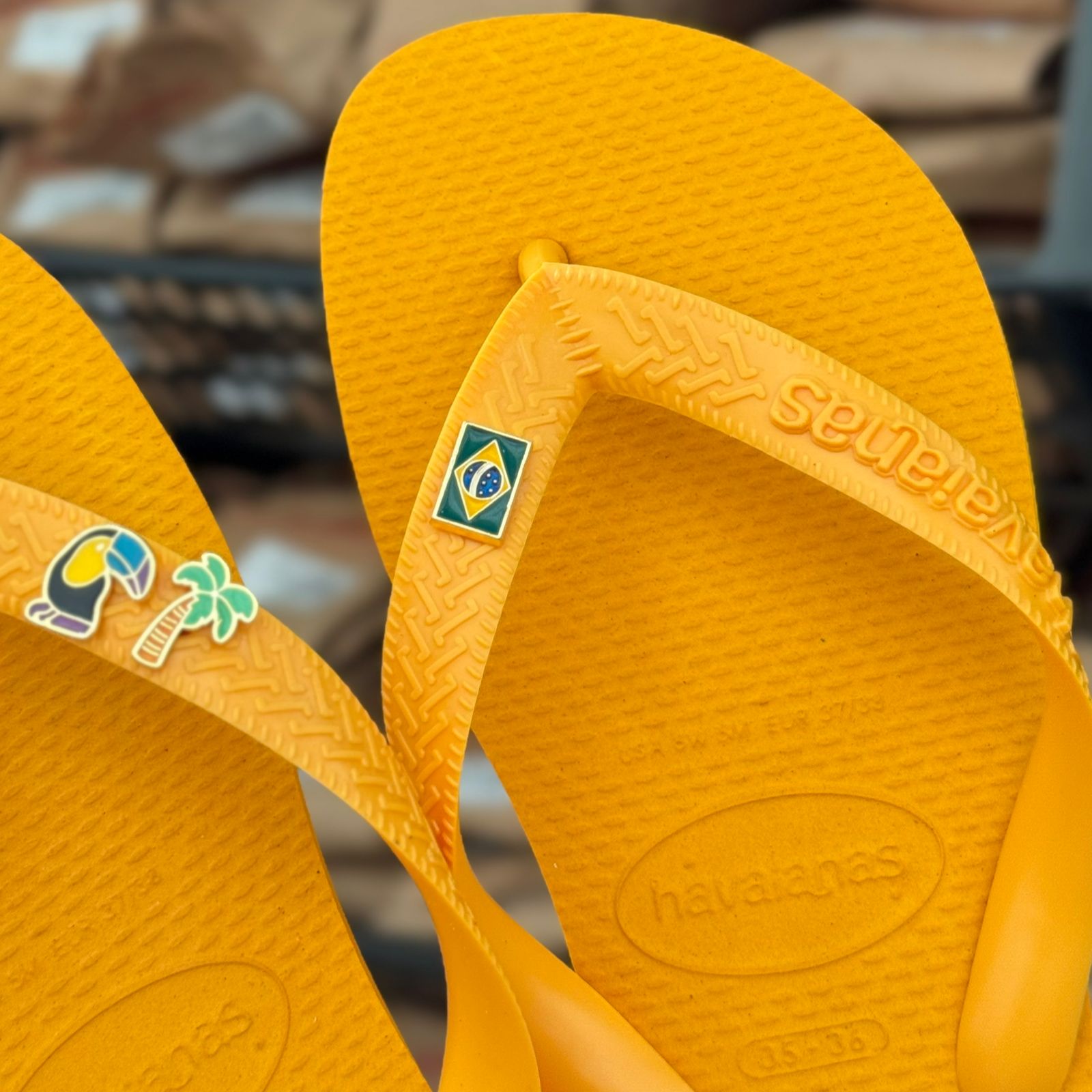 Havaianas Top + Pin Tucano, Coqueiro e Brasil