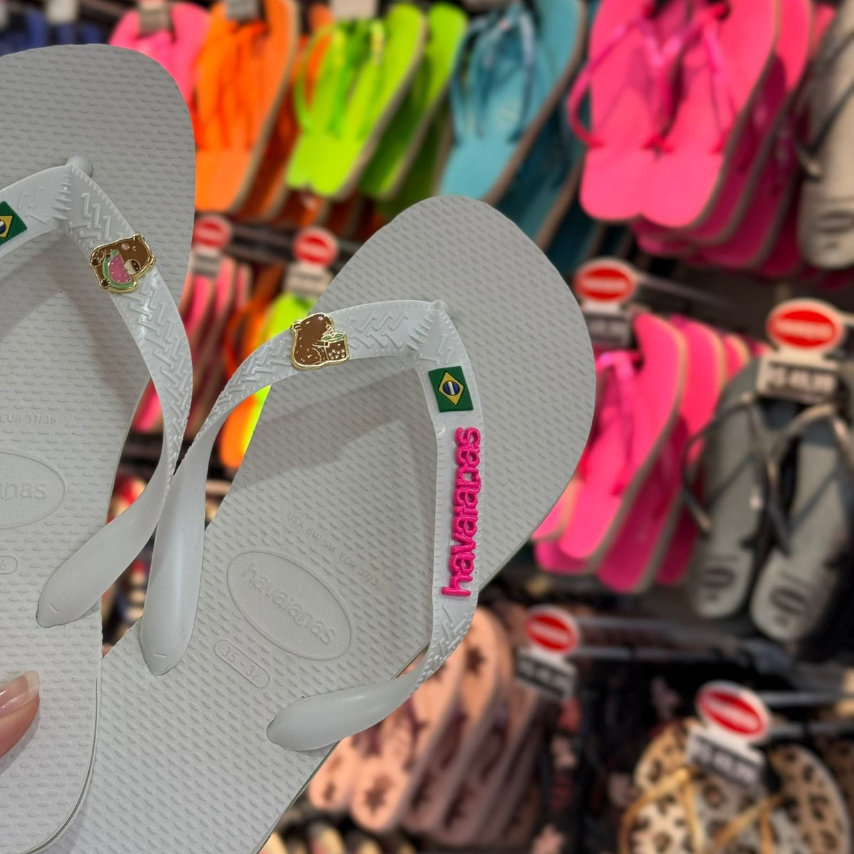 Havaianas Brasil + Placa Logo + Pins Capivara