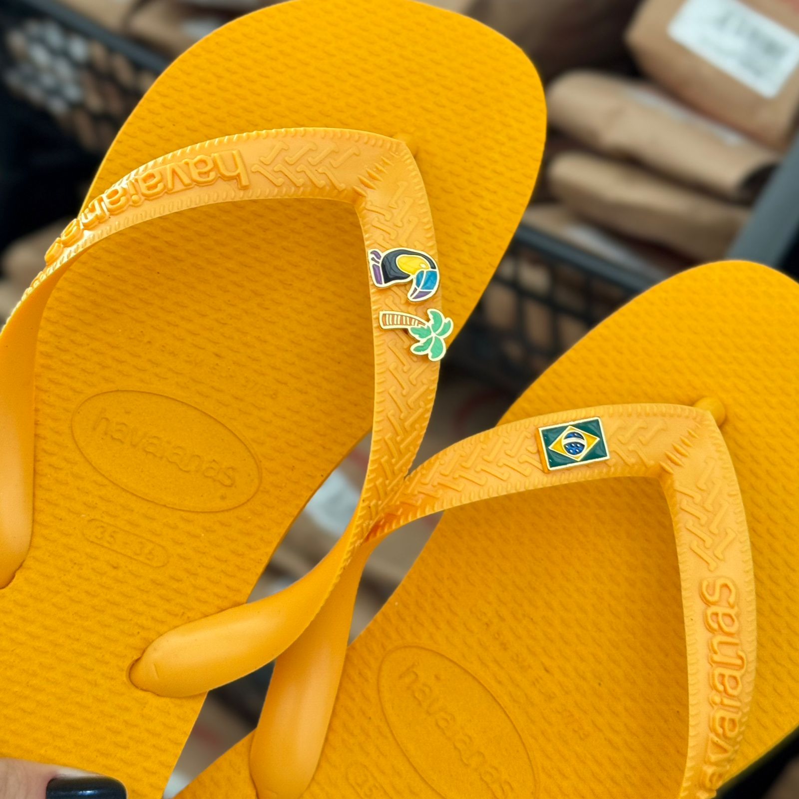Havaianas Top + Pin Tucano, Coqueiro e Brasil
