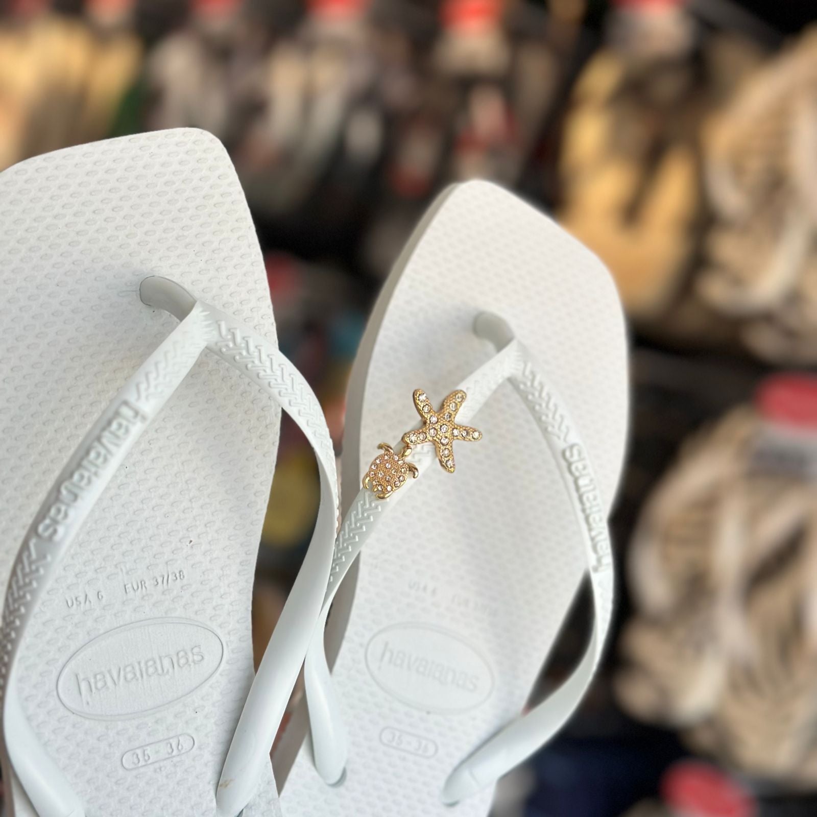 Havaianas Slim Square + Pin Tartaruga e Estrela do Mar